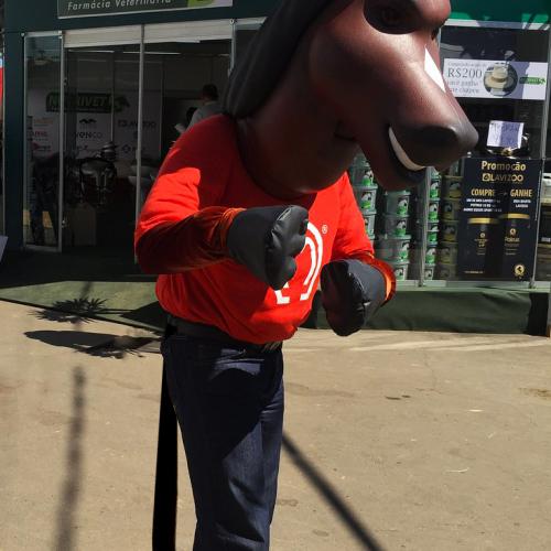 MANGALARGA MARCHADOR