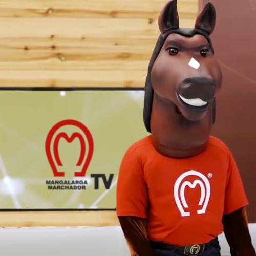 MANGALARGA MARCHADOR 