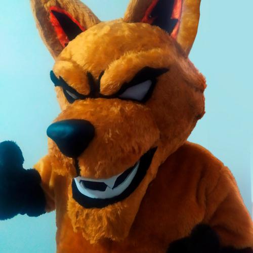 NOVO BASQUETE PONTA GROSSA