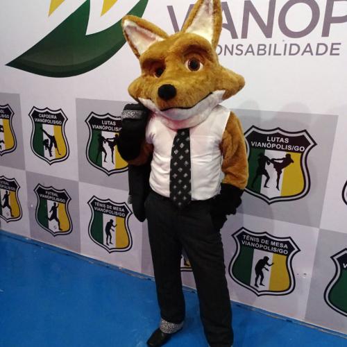 PREFEITURA DE VIANÓPOLIS