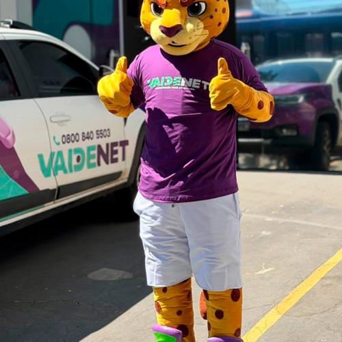 VAIDENET